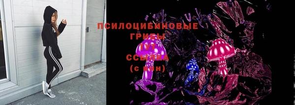 стаф Нефтекумск
