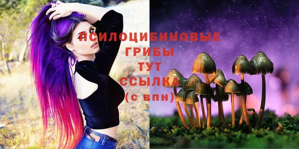 СК Нея