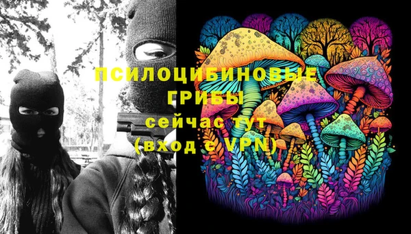 стафф Новодвинск
