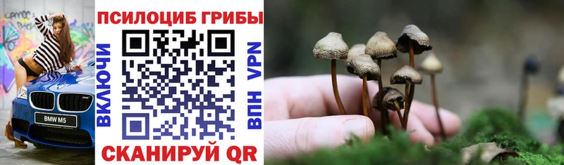 Галлюциногенные грибы Magic Shrooms  что такое наркотик  Ишимбай 