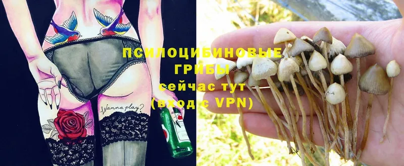 мега ТОР  Ишимбай  Галлюциногенные грибы Psilocybe 