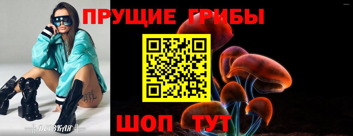 Ишимбай  Галлюциногенные грибы прущие грибы  Вход с VPN  Галлюциногенные грибы мухоморы 